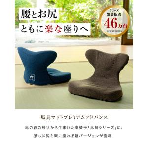 馬具マットプレミアムアドバンス 座椅子 鞍 腰...の詳細画像3