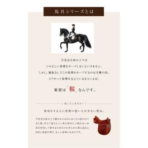 馬具マットプレミアムアドバンス 座椅子 鞍 腰...の詳細画像4