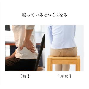 馬具マットプレミアムアドバンス 座椅子 鞍 腰...の詳細画像5