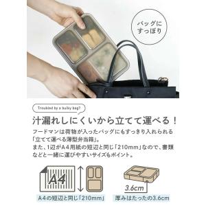 フードマン 薄型弁当箱 ケース セット シービ...の詳細画像1