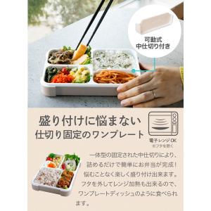 フードマン 薄型弁当箱 ケース セット シービ...の詳細画像2