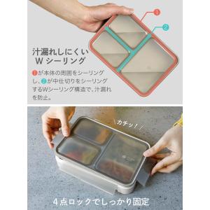 フードマン 薄型弁当箱 ケース セット シービ...の詳細画像4