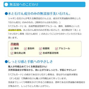 手洗いせっけん バブルガード300mL 本体 ...の詳細画像2