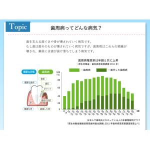 シャボン玉 薬用せっけんハミガキ 3個セット ...の詳細画像4