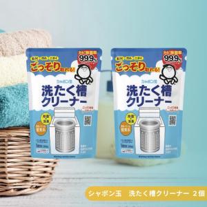 シャボン玉石けん 洗たく槽クリーナー 2個 500g洗濯槽 カビ防止 除菌 洗濯槽クリーナー 洗濯槽 洗濯槽洗剤 洗たく槽のカビ取り剤 シャボン玉 シャボン 送料無料