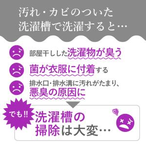 洗濯槽快 10個 セット 専用新ネット1枚付 ...の詳細画像2