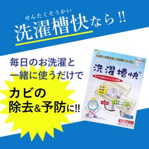 洗濯槽快 10個 セット 専用新ネット1枚付 ...の詳細画像3