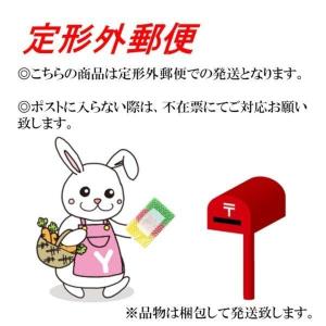 ダスキン 石けん付きスチールウール10個入 母...の詳細画像1