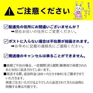 ダスキン 石けん付きスチールウール10個入 母...の詳細画像2