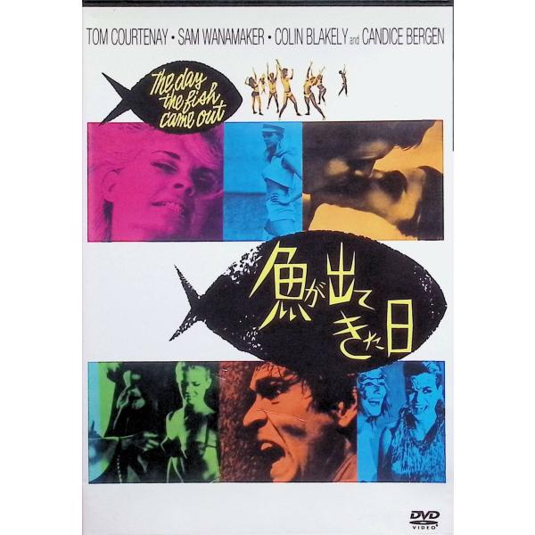 魚が出てきた日 [DVD]