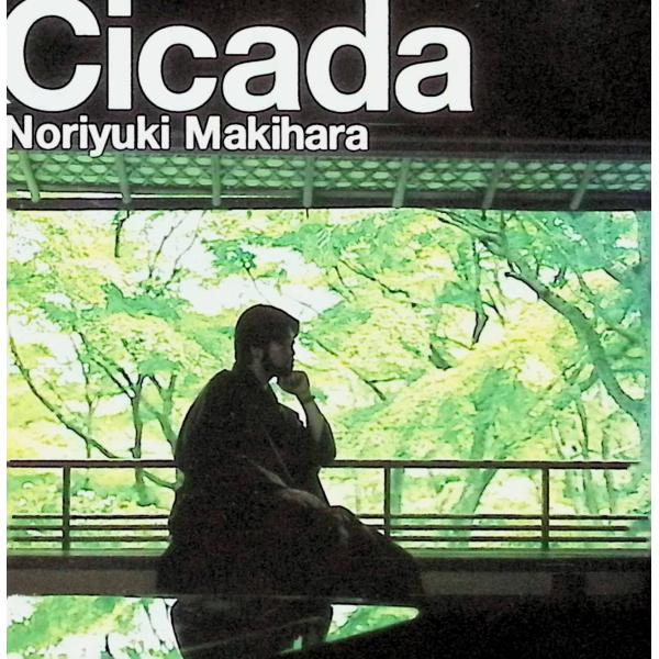 Cicada / 槇原敬之 CD 邦楽