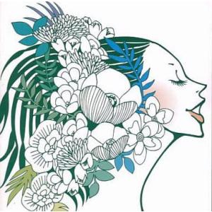 Organic Plastic Music / orange pekoe CD 邦楽
