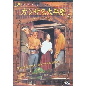 Q10 DVD-BOX ／ 佐藤健/前田敦子 (DVD) : バンダレコード ヤフー店