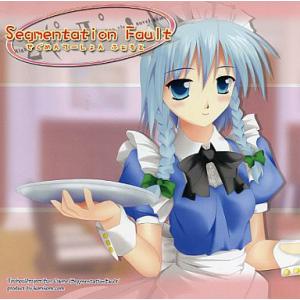 Segmentation Fault せぐめんてーしょん ふぉると