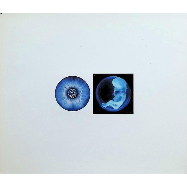 HEAVEN THE CUSTOMIZED LAND SCAPE / PIERROT CD 邦楽