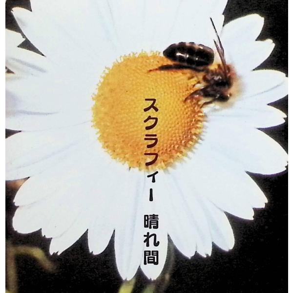 晴れ間 / スクラフィー CD 邦楽