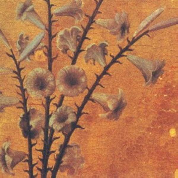 迷える百合達~Romance of Scarlet~ / 黒夢 CD 邦楽