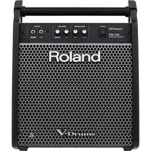 ローランド Personal Monitor Roland PM-100
