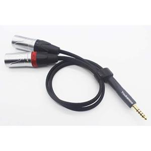 [ 4.4mm変換XLR ] 4.4mm to XLR(L-R)銀メッキ線変換プラグバランスオーディオケーブル (4.4mm 5極オス - 2XLRオ｜dw-bestselectshop