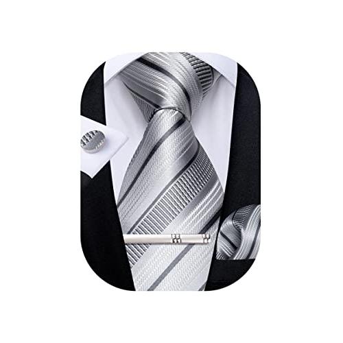 [DiBanGu] 高級ネクタイ シルバーグレー 結婚式 ストライプ ポケットチーフ タイピン 洗濯...