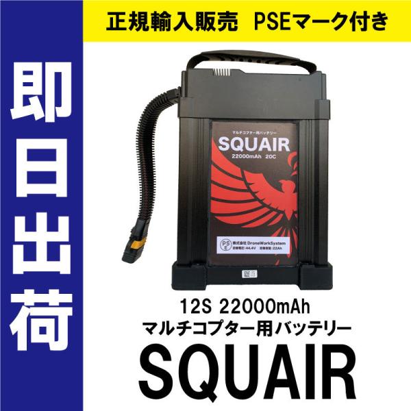 DroneWorkSystem正規輸入販売 PSEマーク付き 12S 22000mAh マルチコプタ...