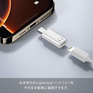 LightningイヤホンをType-Cで使え...の詳細画像3