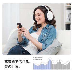 【高音質 DACチップ搭載】 Type-C 3...の詳細画像3