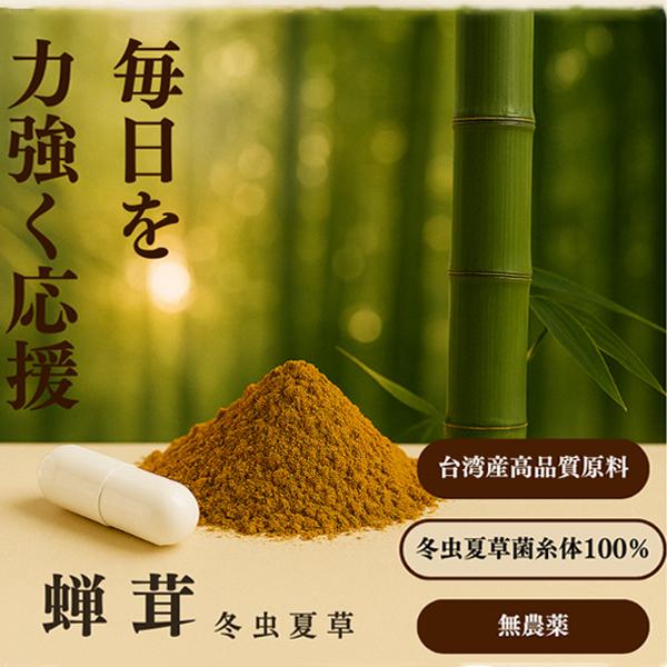 冬虫夏草菌糸体 冬虫夏草 サプリメント 健康食品 セミタケ 60粒入り 毎日の健康維持に