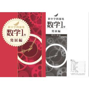 新中学問題集 数学 １年（発展）