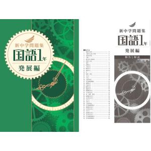 新中学問題集 国語 １年（発展）