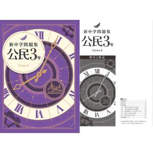 新中学問題集 公民3年