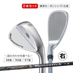 ゴルフ クラブ メンズ ウェッジ 2本セット 48度 52度 57度 ダイナミクス ハイスピン ウェッジ 標準カーボンシャフト仕様 バウンス角 8度 10度 R S 右用｜dyna-golf