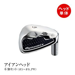 ゴルフ パーツ アイアン ヘッド単体 #5 #6 #7 #8 #9 PW 6個セット ダイナミクス アイアン カスタム｜dyna-golf