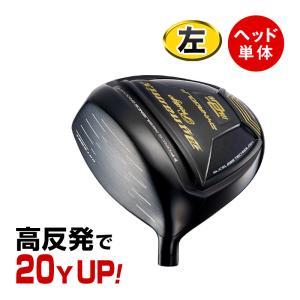 DYNAGOLF（ダイナゴルフ） ゴルフ パーツ アイアン ヘッド 単体 5I 6I