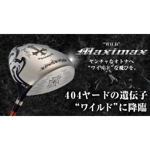 ゴルフ クラブ 新品 ドライバー ワークスゴル...の詳細画像1