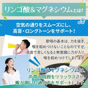 カラオケ 高音 いびき サプリ BURN VO...の詳細画像1