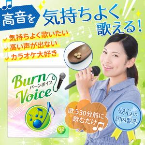 カラオケ 高音 いびき サプリ BURN VO...の詳細画像1