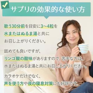 カラオケ 高音 いびき サプリ BURN VO...の詳細画像3