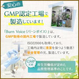 カラオケ 高音 いびき サプリ BURN VO...の詳細画像4