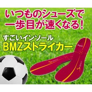 BMZインソール　カルパワースマート「ストライカー」