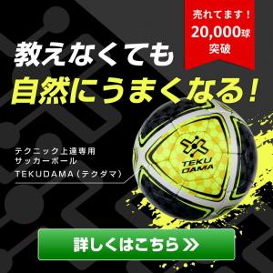 【教えなくても自然と上手くなる】 テクダマ T...の詳細画像1