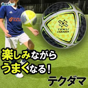 【教えなくても自然と上手くなる】 テクダマ T...の詳細画像2