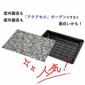 アクアセル「水やりが楽になる」「失敗が減る」初...の詳細画像3