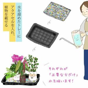 アクアセル「水やりが楽になる」「失敗が減る」初...の詳細画像4