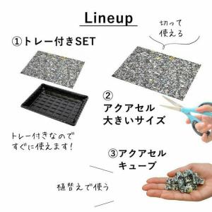 アクアセル「水やりが楽になる」「失敗が減る」初...の詳細画像5