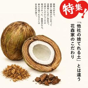 観葉植物 土 植物が良く育つ、万が一の時は処分...の詳細画像3