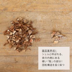 観葉植物 土 植物が良く育つ、万が一の時は処分...の詳細画像4