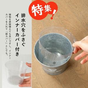 ブリキ鉢スタンダードtype 室内外で使える!...の詳細画像1