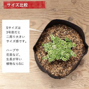 ルーツポーチSサイズ(直径21cm #2) 鉢...の詳細画像4