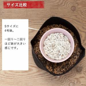 ルーツポーチSサイズ(直径21cm #2) 鉢...の詳細画像5